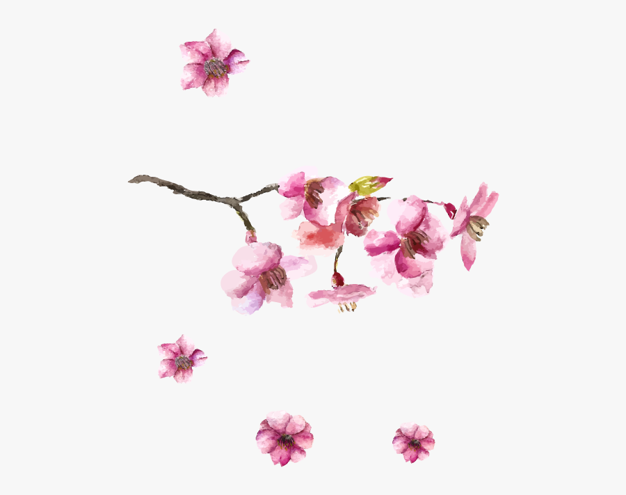 Clip Art Collection Of Free Drawing - Cherry Blossom Japanese Art, Transparent Clipart