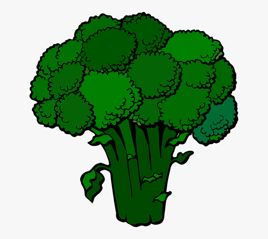 Broccoli Clip Art, Transparent Clipart