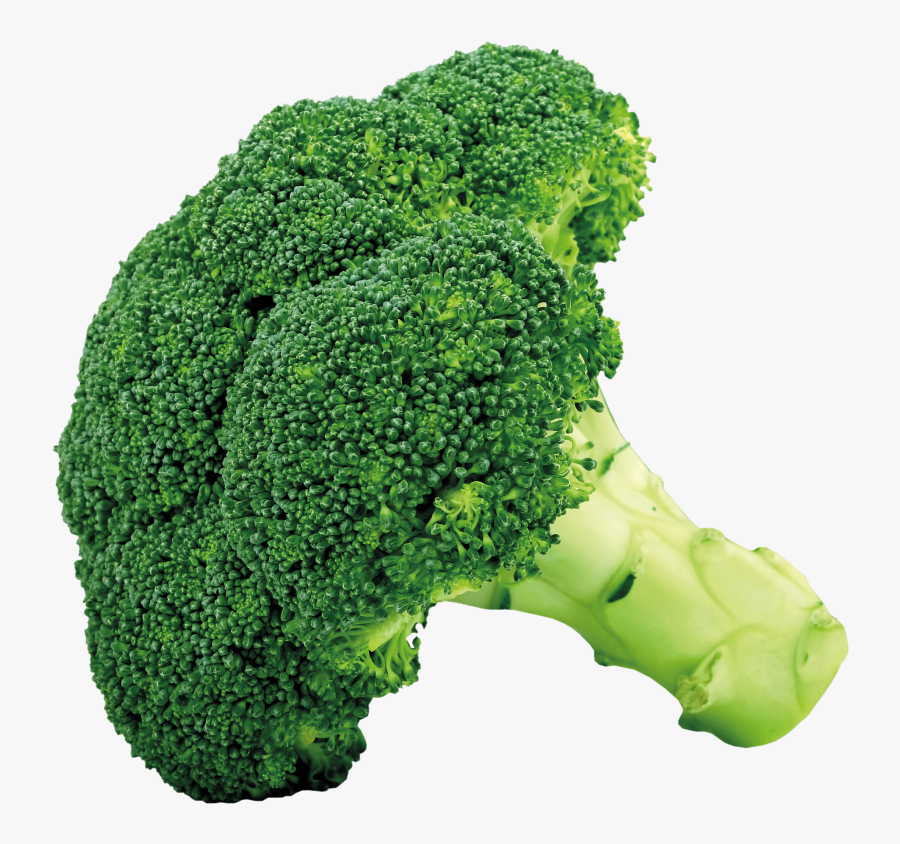 Broccoli Clipart Png - Broccoli Png, Transparent Clipart