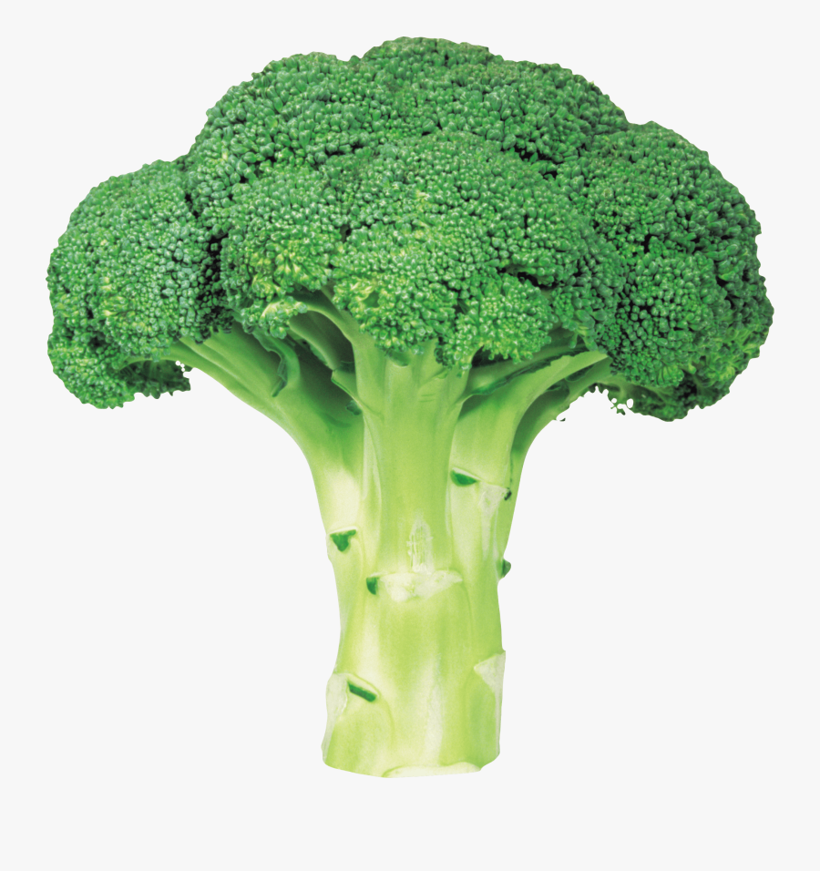 Broccoli Png Image With Transparent Background Png - Broccoli Transparent Background, Transparent Clipart