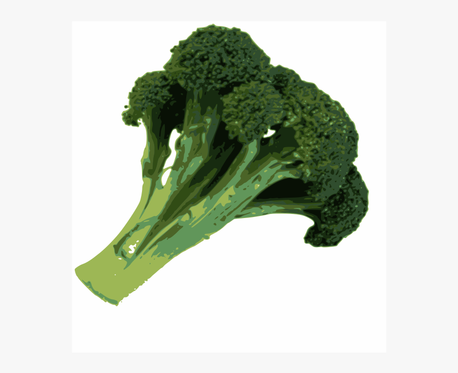 Broccoli - Brokoli Vector, Transparent Clipart