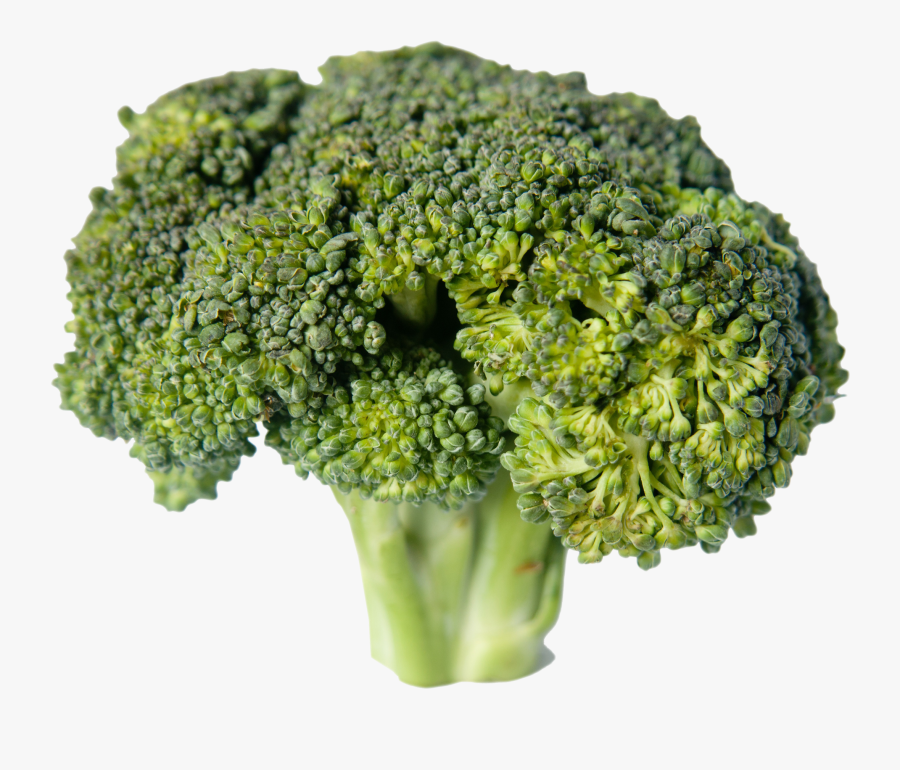 Broccoli Vegetable Food - Перезревшей Брокколи, Transparent Clipart
