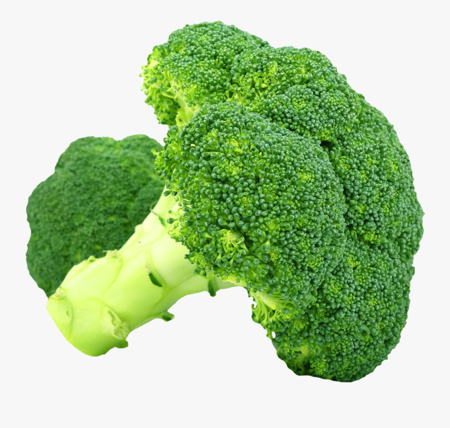 Fork Clipart Broccoli - Broccoli Png, Transparent Clipart