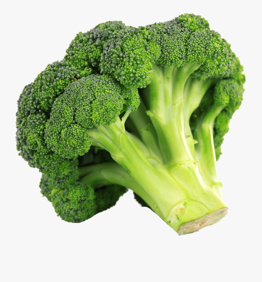 Green Broccoli Png Clipart - Italica Group, Transparent Clipart