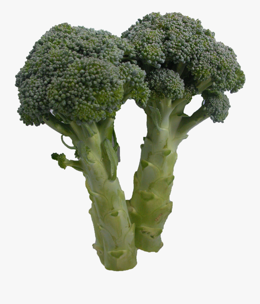 Broccoli, Transparent Clipart