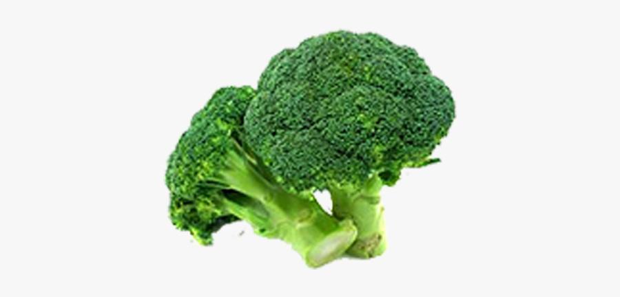 Broccoli Vegetable Food Variety - Broccoli Healthy Food Vegetables, Transparent Clipart