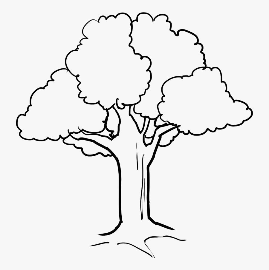 Tree Clipart Black And White Png - Tree Images Clipart Black And White 