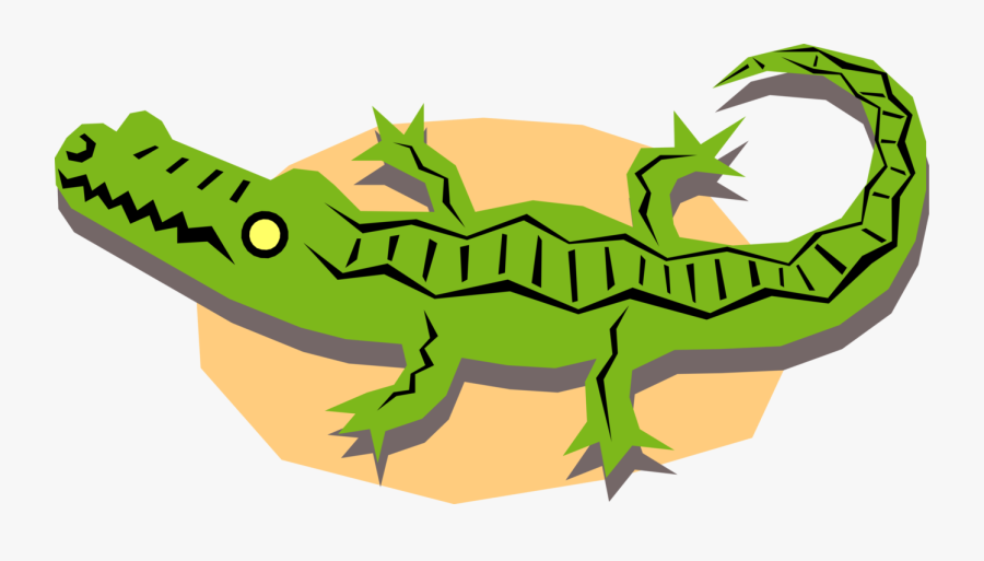 Vector Alligator Crocodile - American Crocodile, Transparent Clipart