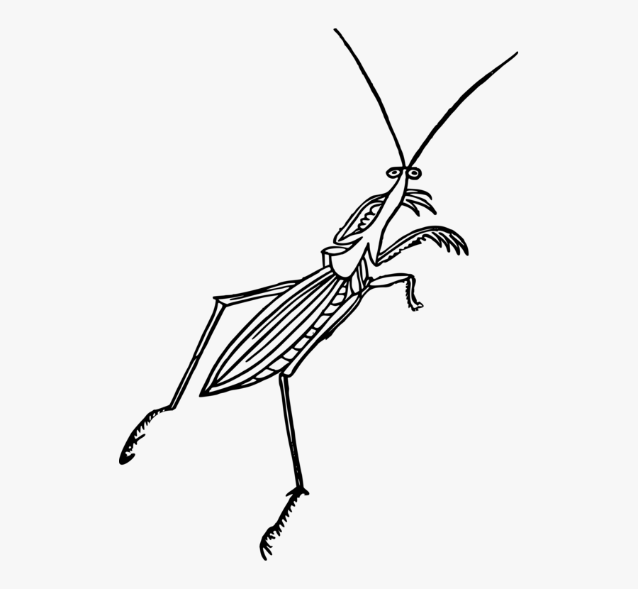 Mantis Clipart Insect Bug - Icon, Transparent Clipart