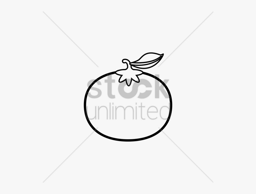 Mandarin Orange Vector Image, Transparent Clipart