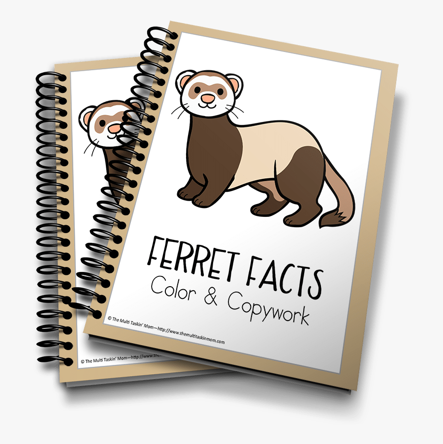 Ferrets Color And Copywork - Jonah And The Whale Mini Book, Transparent Clipart