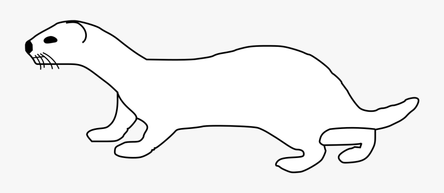 Outline Of A Weasel , Free Transparent Clipart - ClipartKey