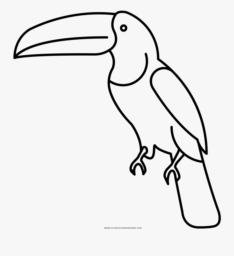 Toucan Coloring Page - Dibujos Para Pintar De Un Tucan, Transparent Clipart