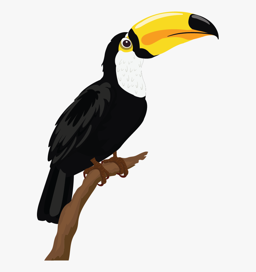 38 Viral Gambar Sketsa  Fauna  Burung  Terbaru Repptu