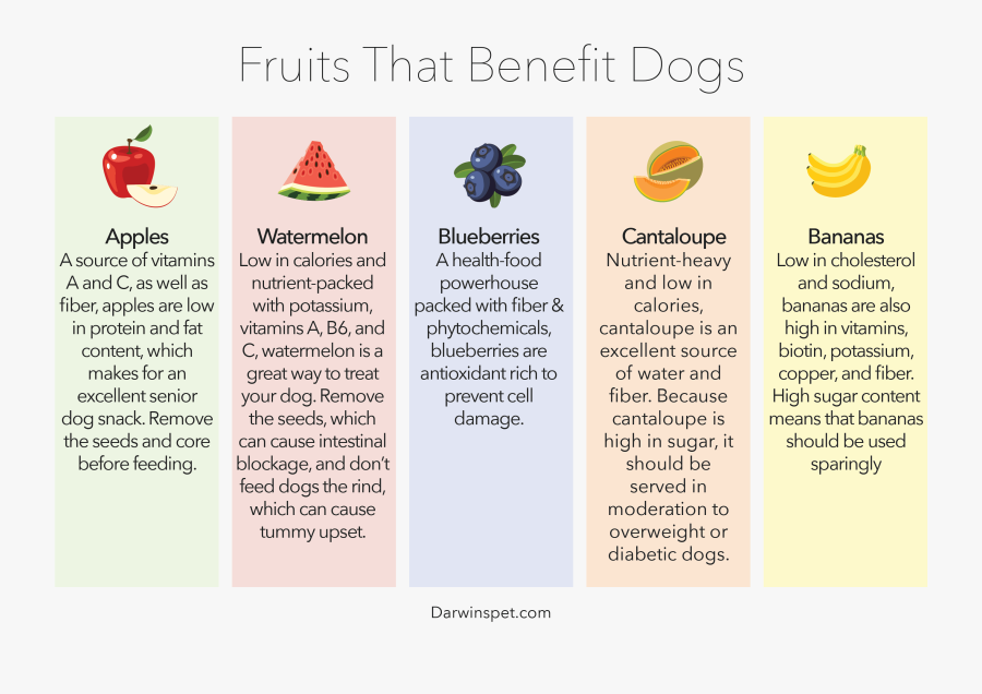 Fruits For Dogs - Strawberry, Transparent Clipart