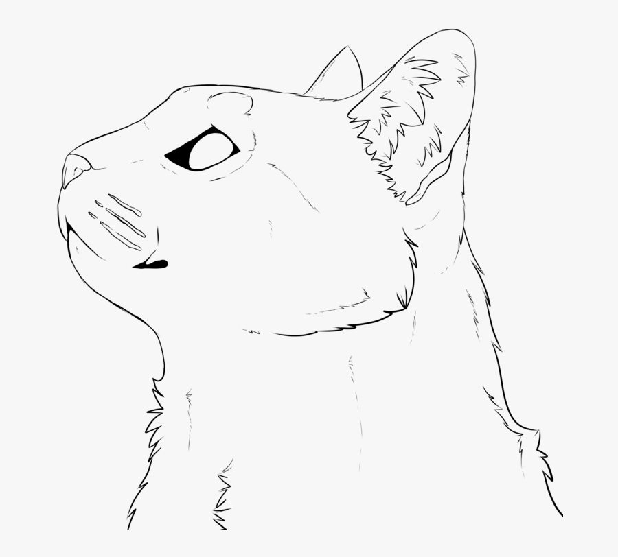 Drawing Barns Cat - Cat Lineart Face, Transparent Clipart