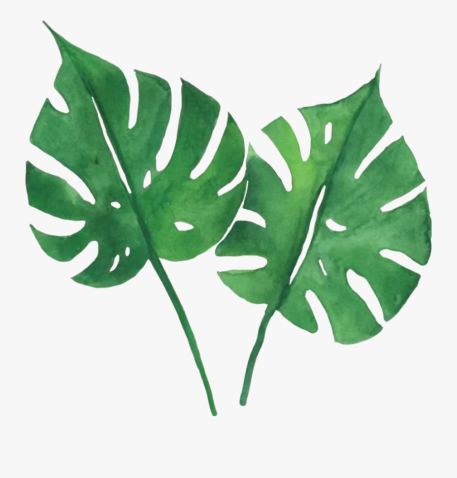 #green #tropical #leaves - Watercolor Tropical Leaves Png, Transparent Clipart