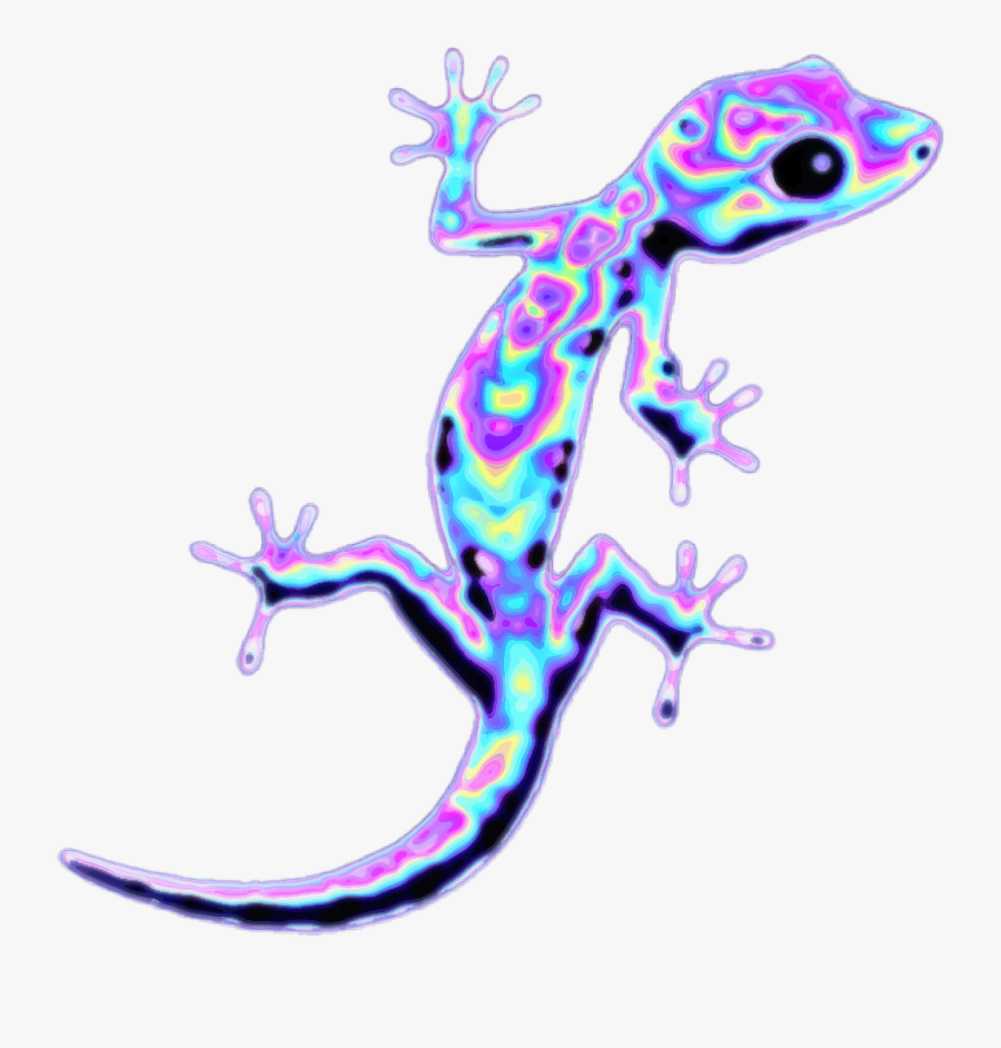 Holo Holographic Freetoedit - Gekkonidae, Transparent Clipart