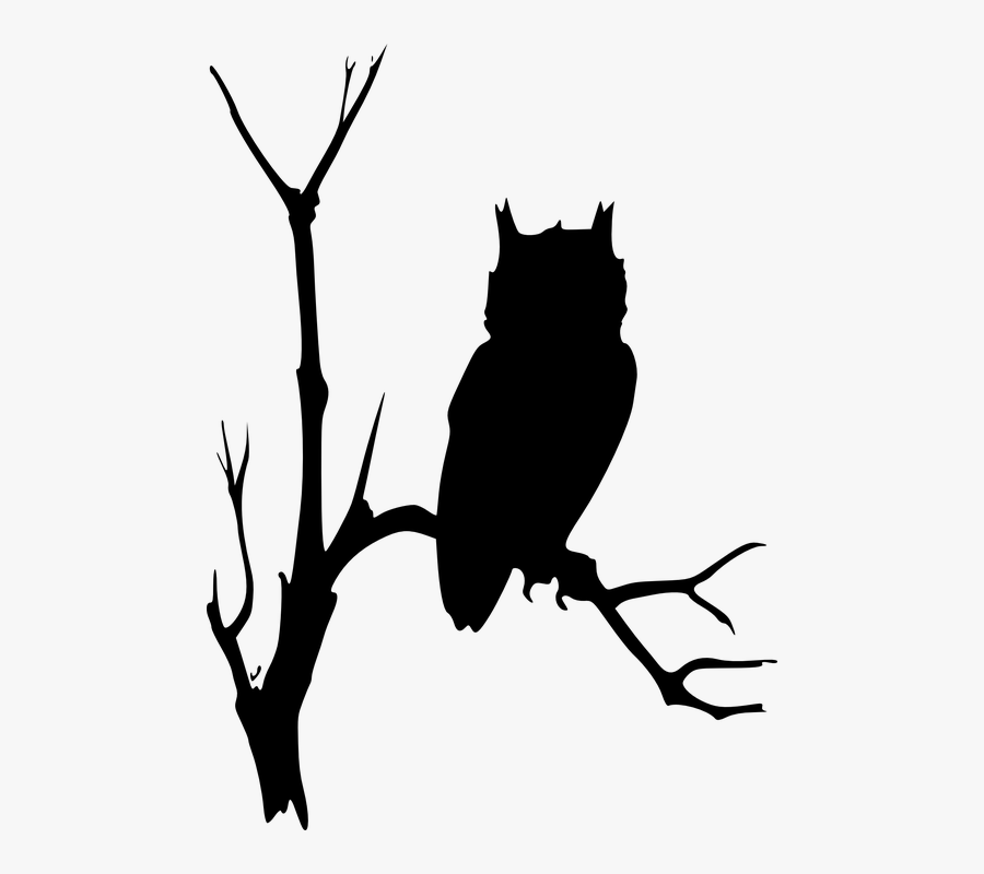 Owl, Branches, Tree, Dead, Eerie, Watching, Nature - Owl On Branch Silhouette, Transparent Clipart