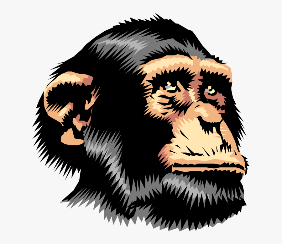 Chimpanzee, Transparent Clipart