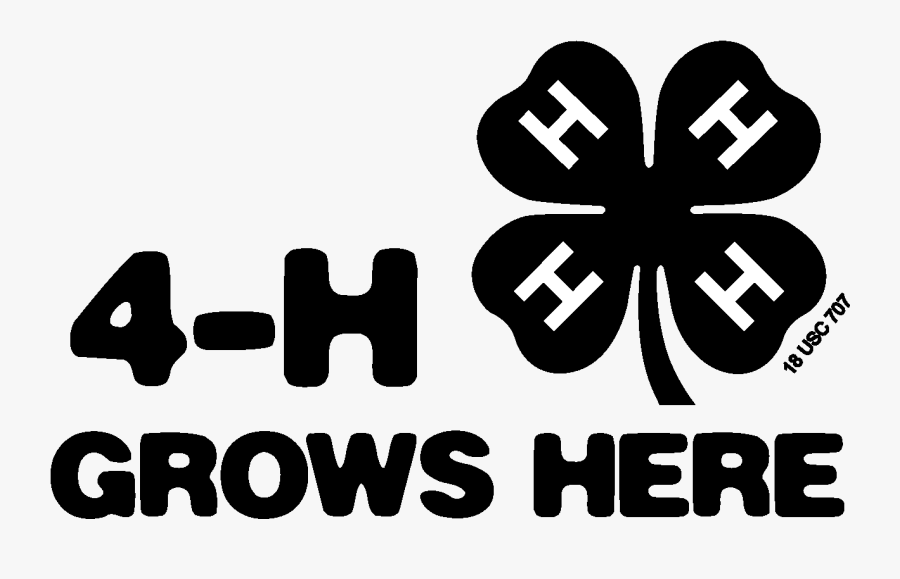 Black Grows Here Horiz - 4 H Grows Here Black, Transparent Clipart