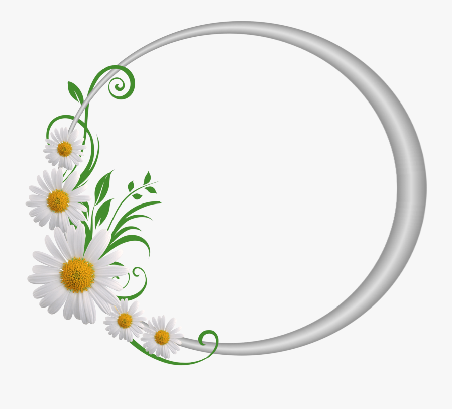 Daisy Clipart Vine - Round Photo Frame Png, Transparent Clipart