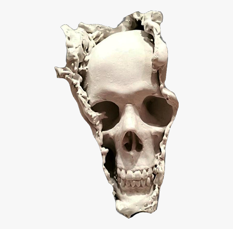 Skull Skullface Skullhead Bones Skeletal Freetoedit - Taiji Tao Mote Skull, Transparent Clipart
