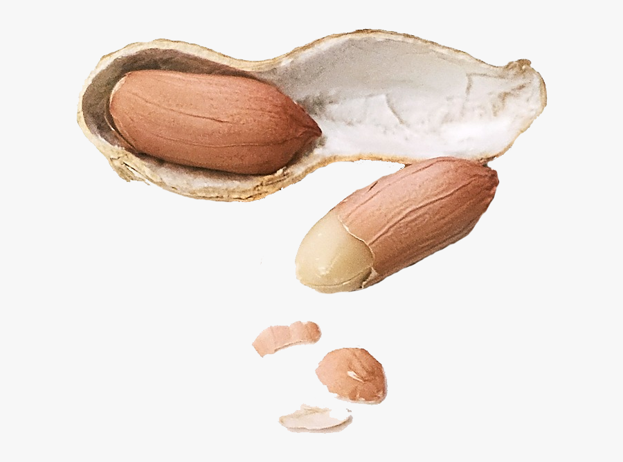 Peanut Butter Granola Food - 땅콩 껍질, Transparent Clipart