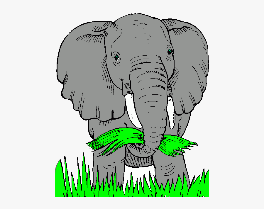 Elephant Food Clipart, Transparent Clipart