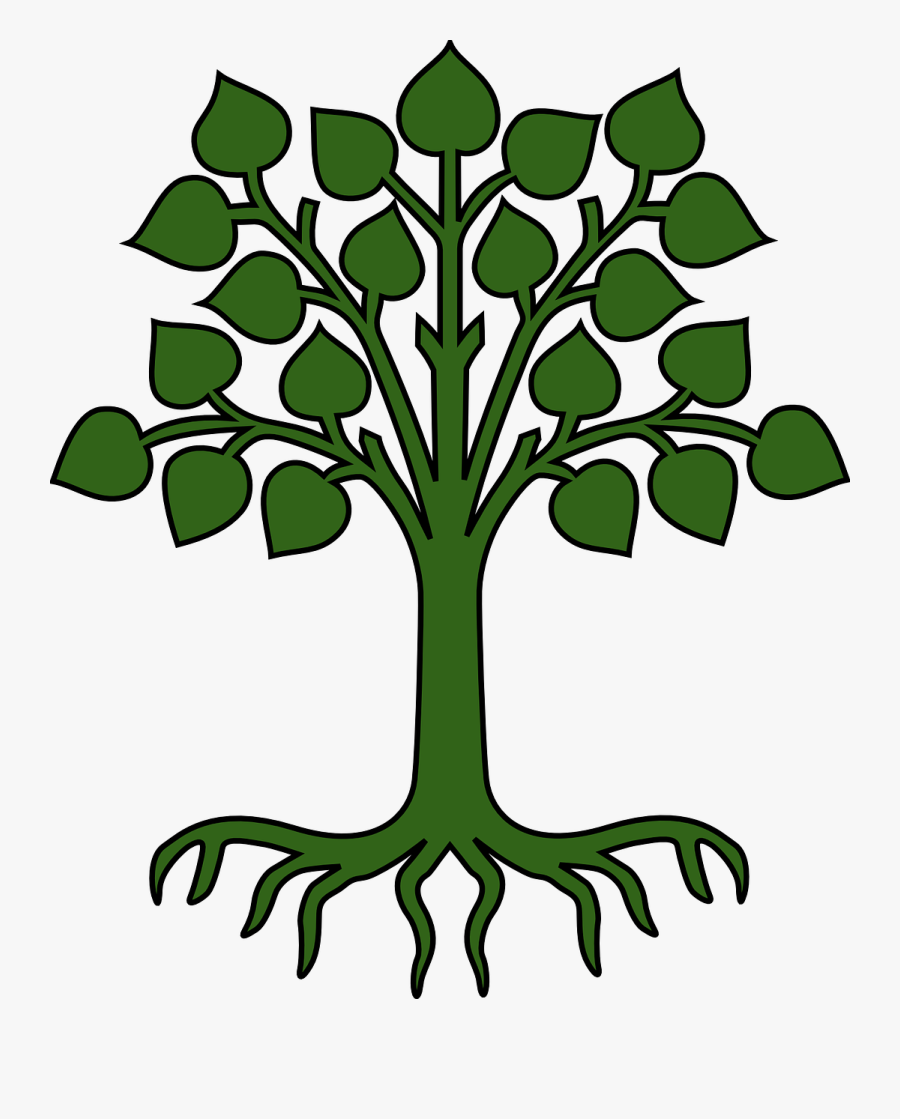Tree, Leaves, Roots, Green, Pictogram - Oak Tree Coat Of Arms, Transparent Clipart