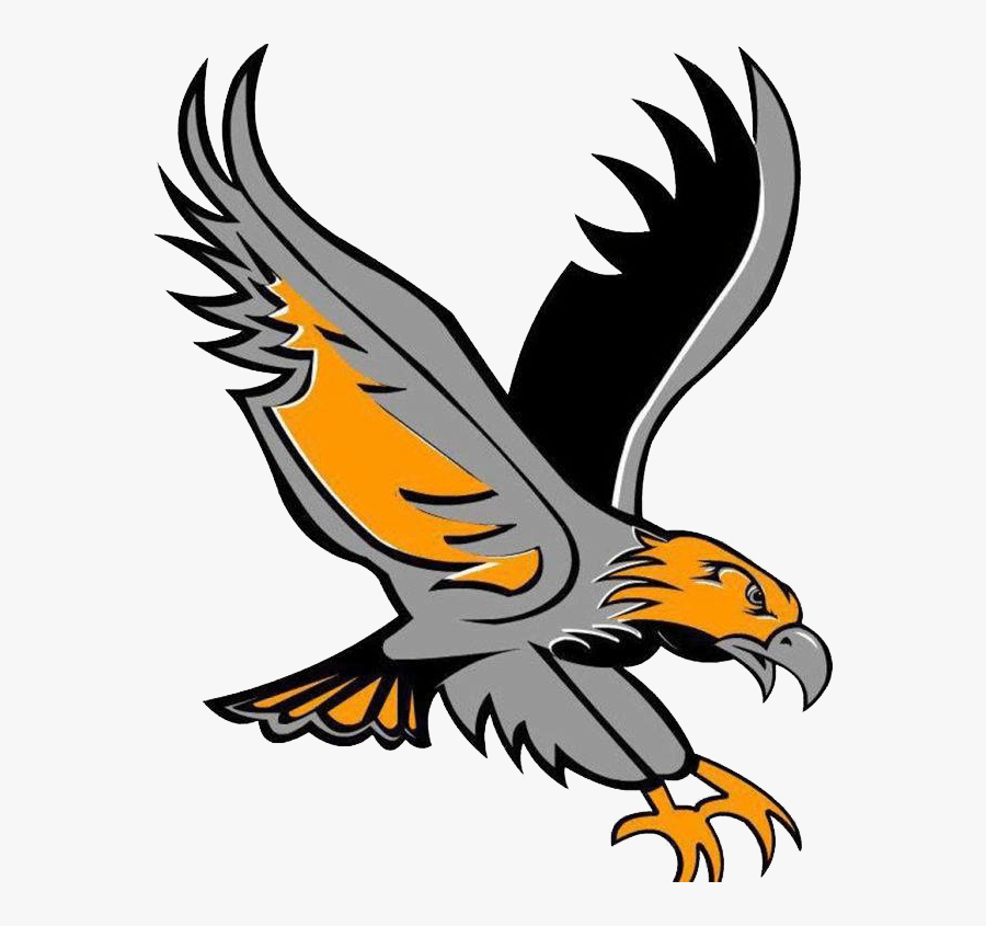 River Hawk Logo - Easton Valley River Hawks, Transparent Clipart