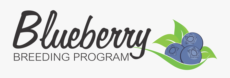 Berry Bush Png , Free Transparent Clipart - ClipartKey