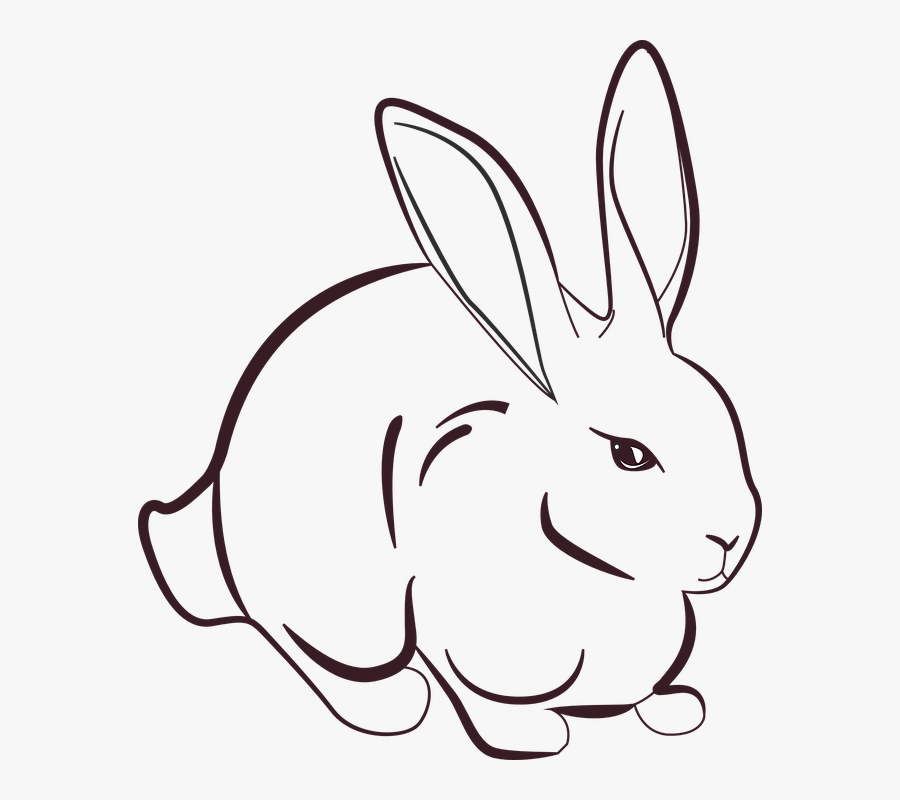 Rabbit, Animal, Grass, Animals, Prairie, Dandelion - Art Drawing Of Rabbit, Transparent Clipart