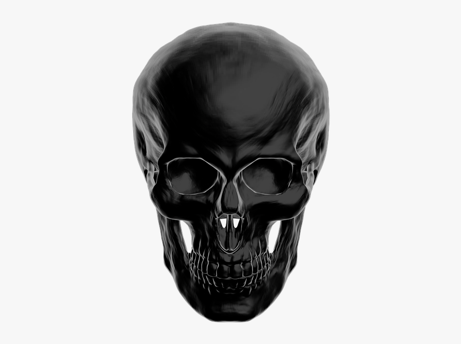 Skull, Anatomy, Skull And Crossbones, Human, Head, - Transparent Black Skull Png, Transparent Clipart