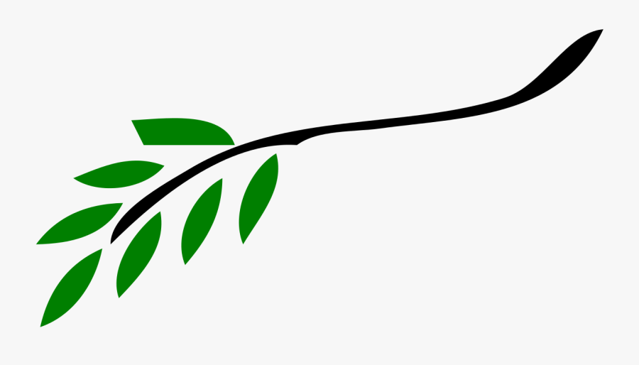 Olive Branch Petition, Transparent Clipart