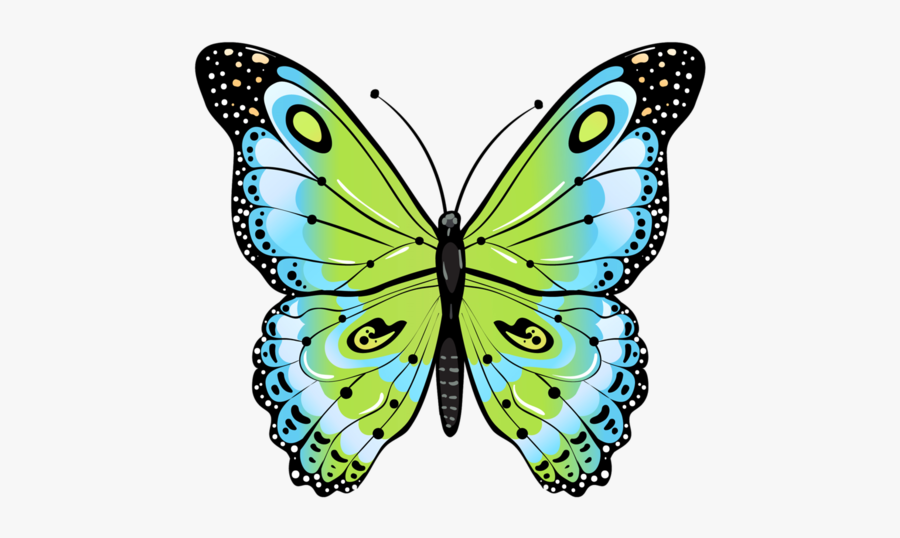 Clip Art Beautiful Moths - Butterfly Drawing Green, Transparent Clipart