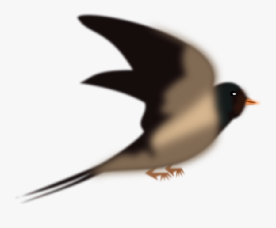 All Photo Png Clipart - Swallow Bird Birds Png, Transparent Clipart