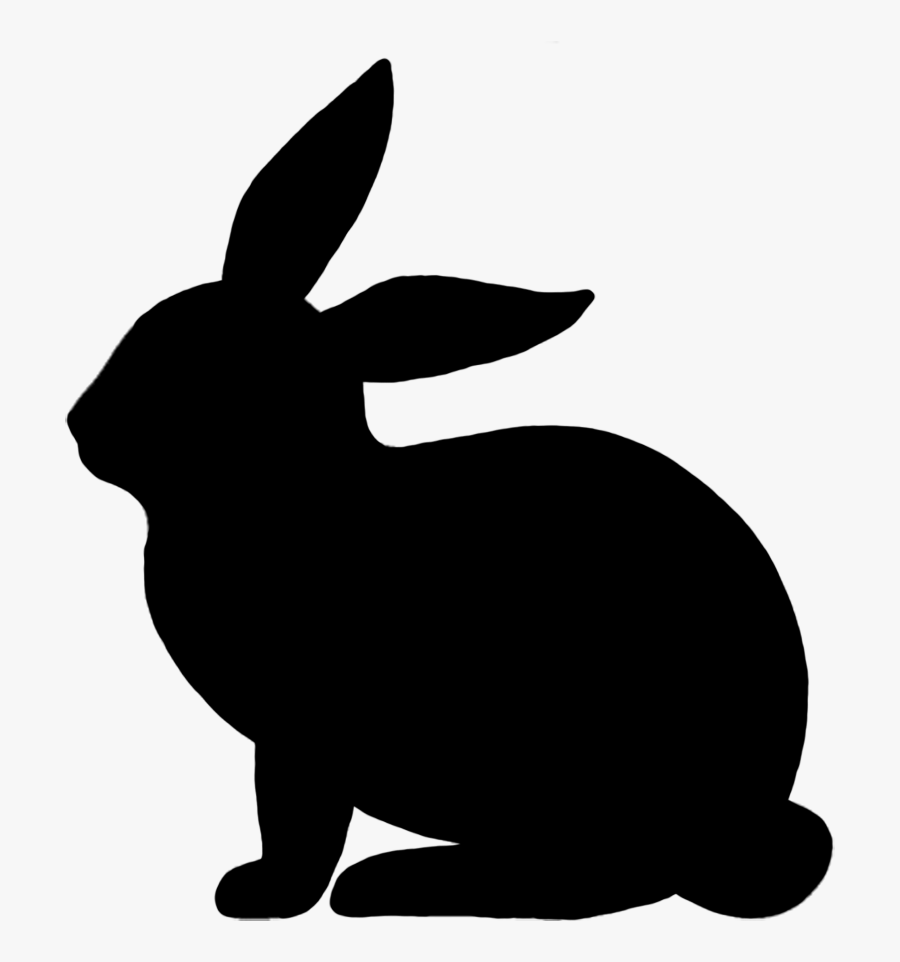 Easter Bunny Rabbit Illustration Vector Graphics Image - White Rabbit