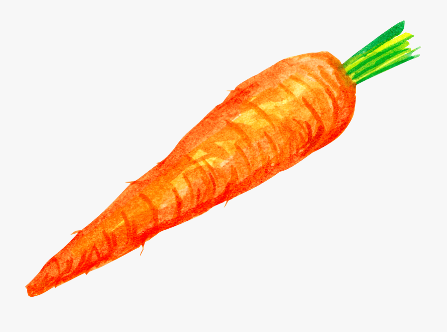 Carrot Clipart Wortel - Vector Zanahoria Png, Transparent Clipart