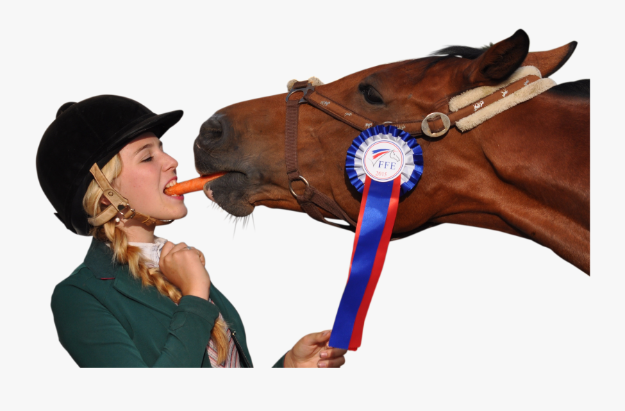 Girl Eating Carrot With Horse Png Image - Horse And Girl Eating Carrot, Transparent Clipart