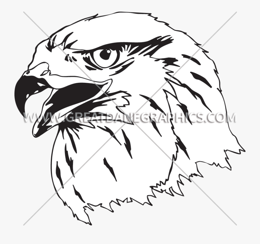 Clip Art Royalty Free Download Falcon Head Clipart - Falcon Transparent Drawing, Transparent Clipart