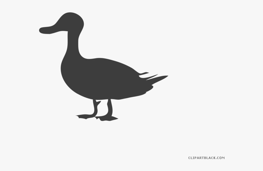 Black And White Duck Animal Free Black White Clipart - Green Duck Clip Art, Transparent Clipart