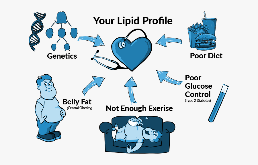 Transparent Fat Heart Clipart - Triglycerides Cartoon, Transparent Clipart