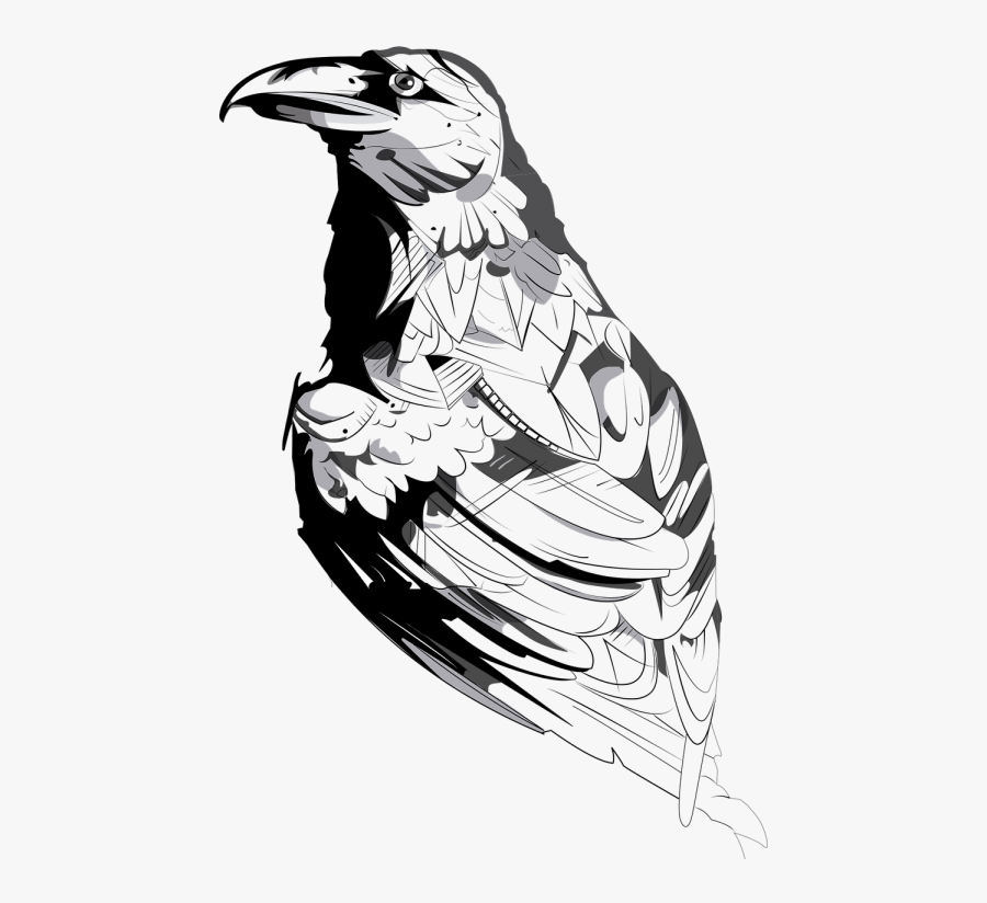 Crow American Crow Animal - Cool Drawings Png, Transparent Clipart