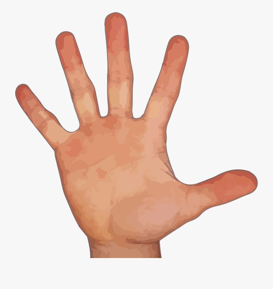 Hand Five Finger Clipart - Hand With 5 Fingers, Transparent Clipart