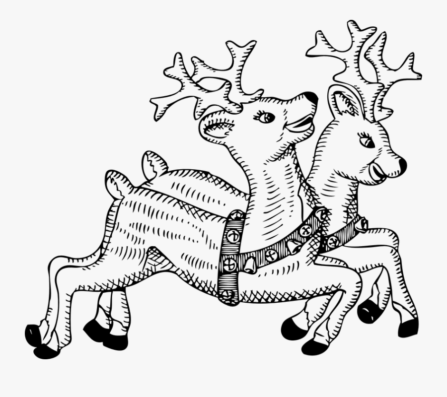 Transparent Reindeer Sleigh Png - Christmas Reindeer Clipart Black And White, Transparent Clipart