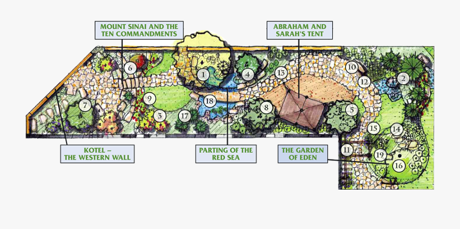 Identifying Biblical Plants Is Not A Simple Task - Plant A Biblical Garden, Transparent Clipart