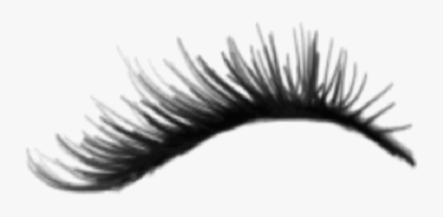 Transparent Background Fake Eyelashes Png, Transparent Clipart