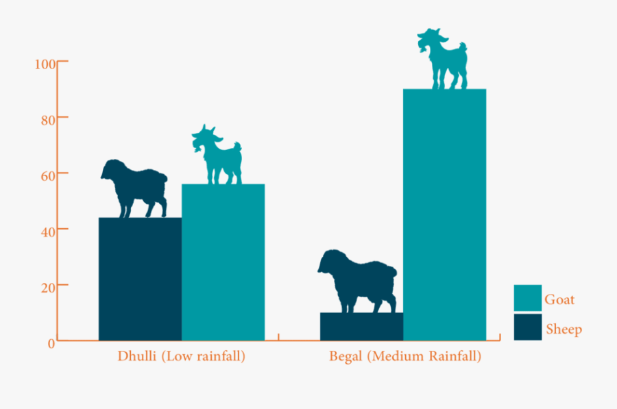 Small Ruminant Composition By Species - Silhouette, Transparent Clipart