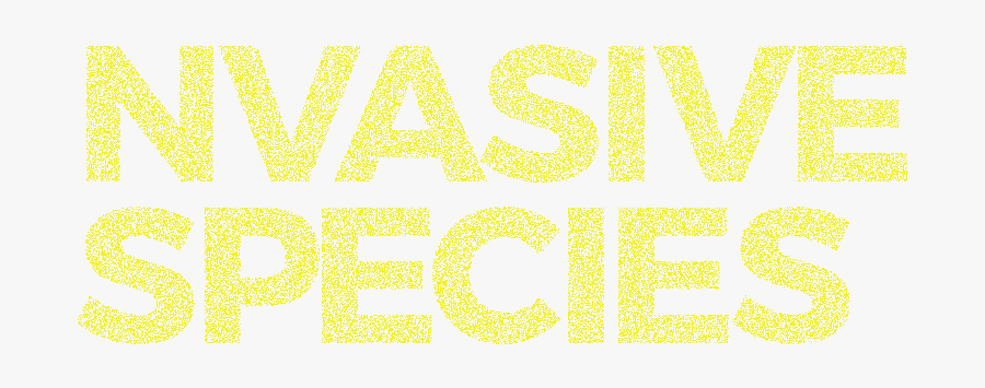 Title Invasive Species Mobile - Graphic Design, Transparent Clipart